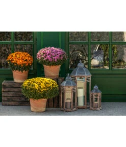 Spang Terrakotta-Topf Toscana, Rund -Gartenmöbel Geschäft 3697612 WE MO 003 TerrakottaTopfToscana