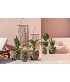 Feigenkaktus - Opuntia Consolea -Gartenmöbel Geschäft 4432415 PR MO 001 KeramikTopfNero