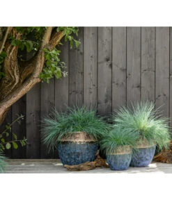 Dehner Keramik-Topf Mystras, Rund, Blau-braun -Gartenmöbel Geschäft 4441317 4441341 4441408 WE MO 002 DehnerKeramikTopfMystrasrundblaubraun