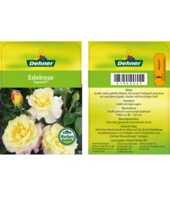 Edelrosen-Mix 'Nostalgie®' -Gartenmöbel Geschäft 7800063 AquarellEdelrose Etikett1