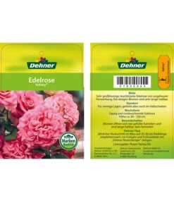 Edelrosen-Mix 'Nostalgie®' -Gartenmöbel Geschäft 7800063 AshleyEdelrose Etikett1