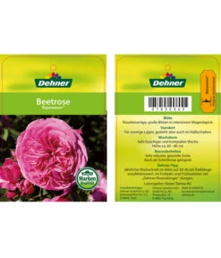 Edelrosen-Mix 'Nostalgie®' -Gartenmöbel Geschäft 7800063 BaronesseBeetrose Etikett1