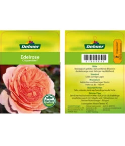 Edelrosen-Mix 'Nostalgie®' -Gartenmöbel Geschäft 7800063 ChippendaleEdelrose Etikett1