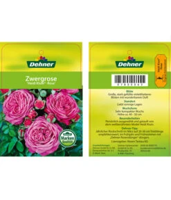 Edelrosen-Mix 'Nostalgie®' -Gartenmöbel Geschäft 7800063 HeidiKlumZwergrose Etikett1