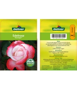 Edelrosen-Mix 'Nostalgie®' -Gartenmöbel Geschäft 7800063 NostalgieEdelrose Etikett1