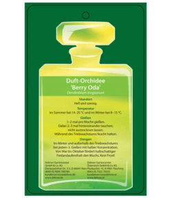 Duft-Traubenorchidee - Dendrobium Kingianum 'Berry' -Gartenmöbel Geschäft 8250714 DuftorchideeBeryyOdaEtikett2