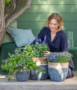 Dehner Keramik-Topf Mystras, Rund, Blau-braun -Gartenmöbel Geschäft 8811143 WE MO 001 BlaueMauritius